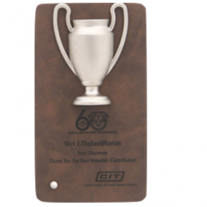 Wooden and Metal Trophy CGT- 9278