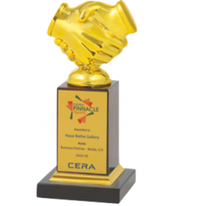 Wooden and Metal Trophy CGT- 9325