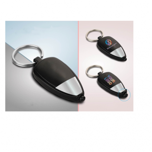 Two Tone Logo Highlight Keychain - CGP-3132