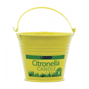 Citronella Bucket Candle - CGP-3473